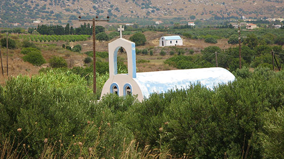 Surrounded by an olive grove